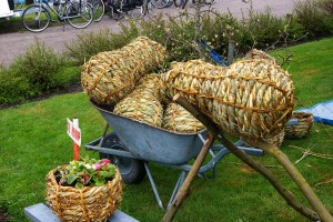 Te koop in het voorjaar, aan de haven